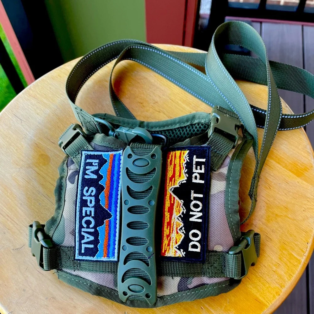 Cat Tactical Harness/Pet Vest #1 and leash